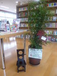 図書室オ−プン.jpg